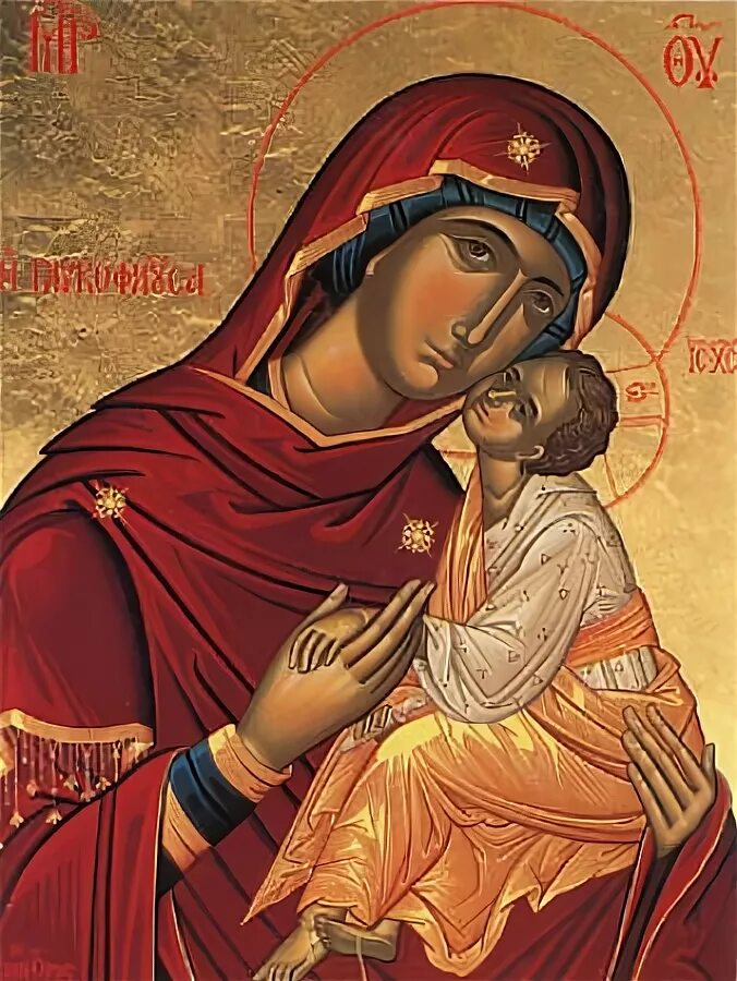 Икона владимирская богородица. Икона пресвятой богородицы "сиротская. Киккотисса икона. Имя сына богородицы. Имя сына богородицы.
