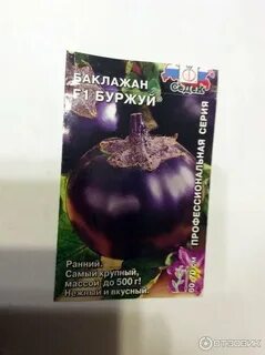 Баклажан буржуй