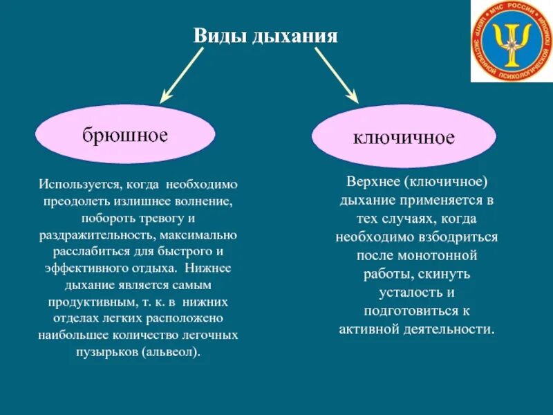 Виды дыхания. Дыханиедля преодолениеизлишнего волнения. Дыхательные методы и приемы для саморегуляции. Нижнее дыхание брюшное используется когда необходимо. Дышит какой вид