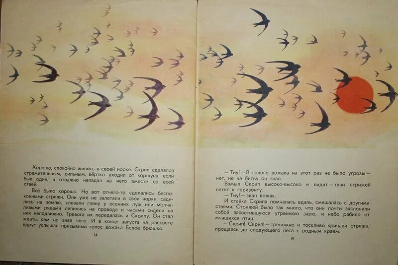 Сказка о стрижонке скрипе. Стрижонок скрип. Астафьев скрип. Рисунок к рассказу скрип. Рисунок к рассказу Стрижонок скрип.