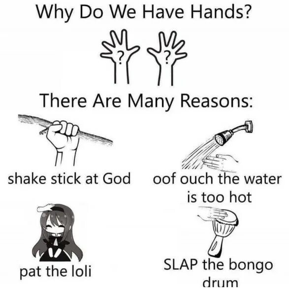 Have them to hand. Why do we have hands. Why do we have hands there are many reasons. Why do we have hands meme. Why do we have hands Original.