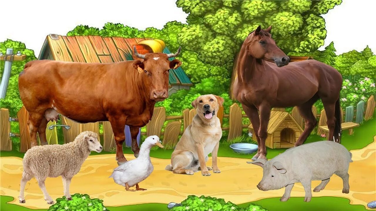 Детские видео животных. Домашние животные для детей. Животные на ферме. Малыши. Домашние животные. Домашние и Дикие животные для детей.
