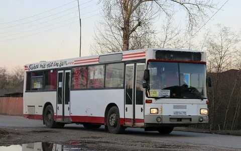 Курашим кондратово