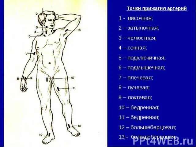 5 точку мальчика