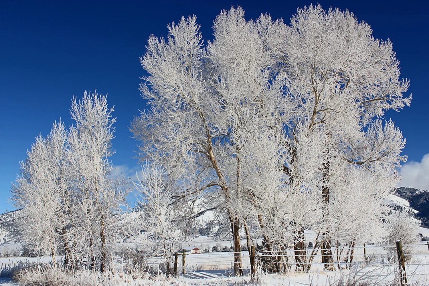 Сколько живет зима. Морозы в Хабаровске.