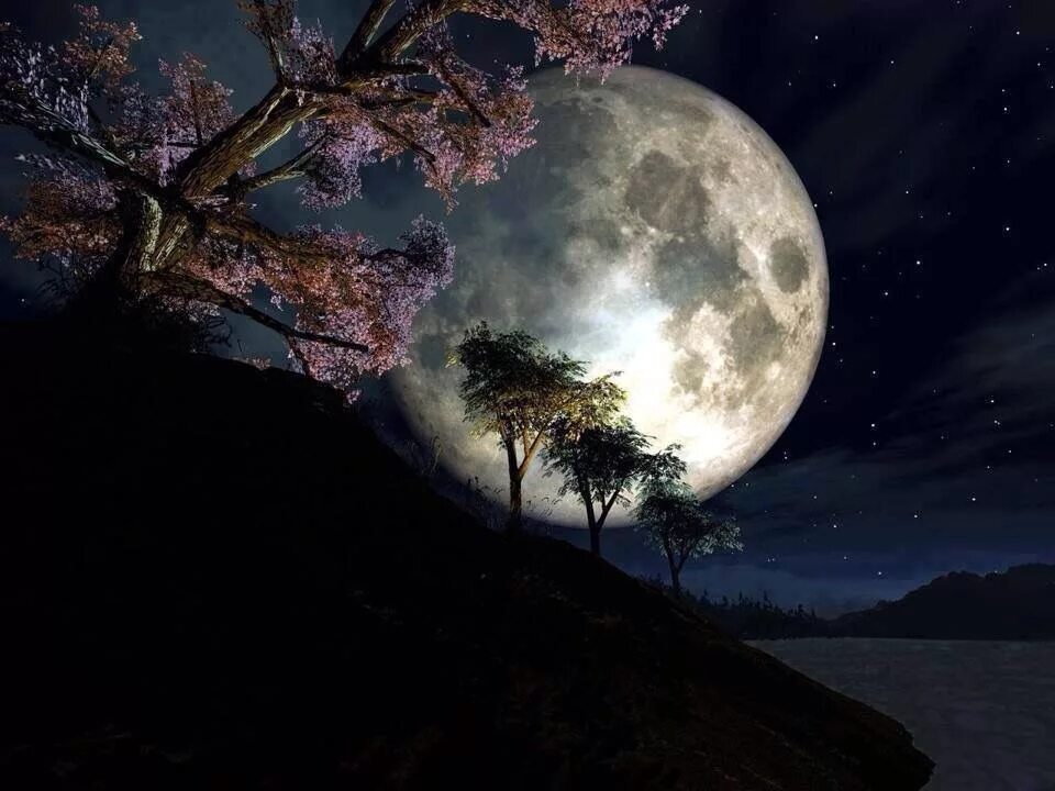 Lua os