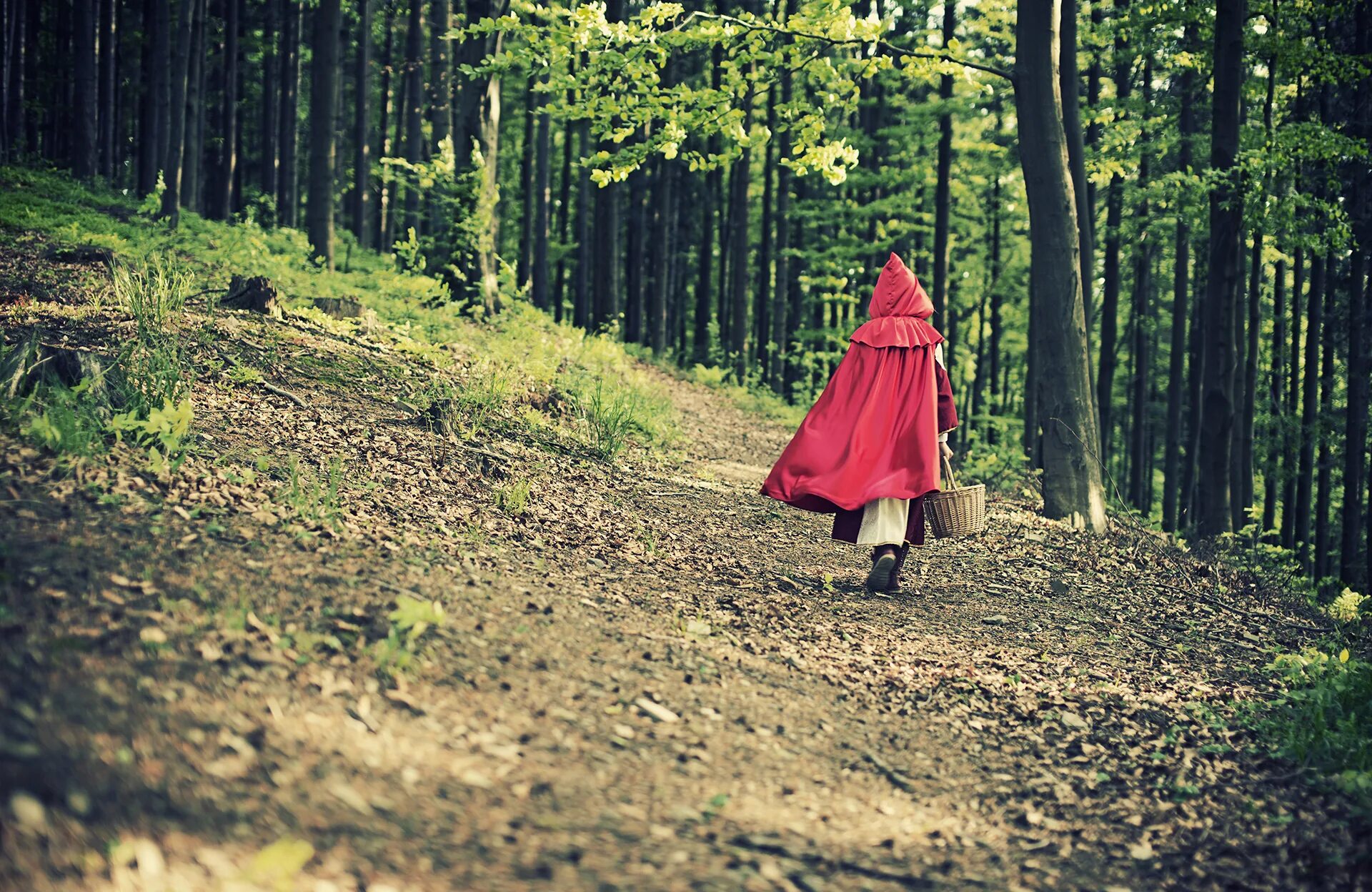 Иди через темный лес книга. Девочка идет через лес одна. Странник в лесу. Пробирается через лес. Лесная прогулка.