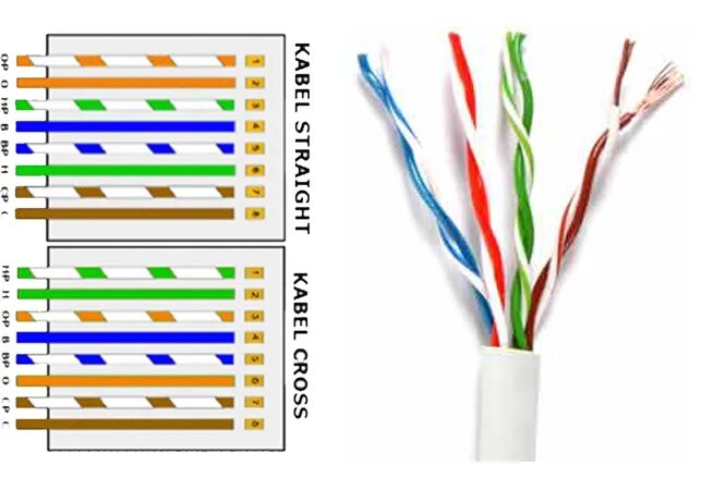 Витая пара скорость интернета. Витая пара скорость. микро usb витая пара utp. витая пара графика. витая пара инфографика.