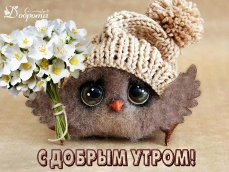 Pin on С добрым утром! Good morning, Good morning flowers, Flower images free
