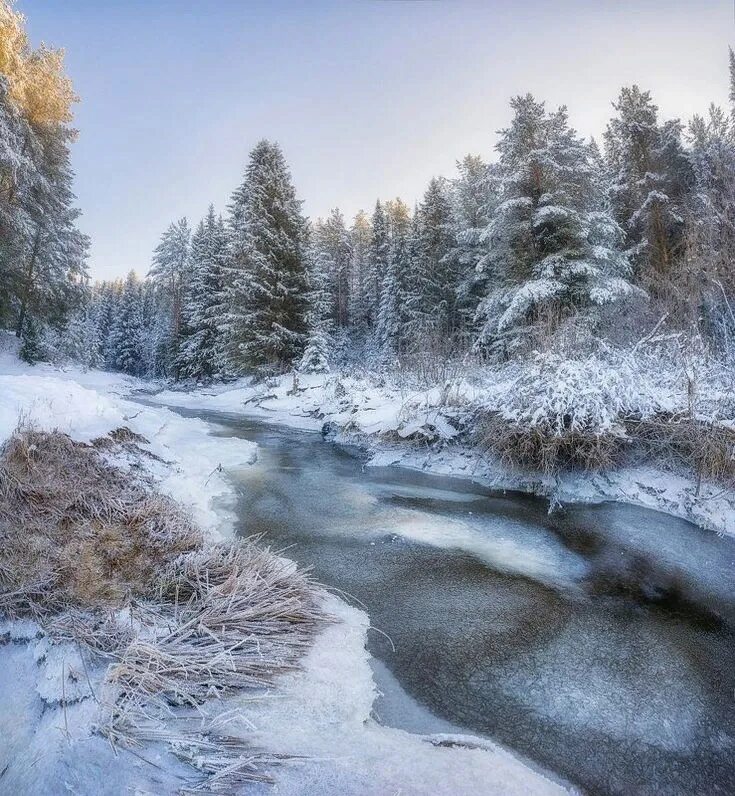 По берегам замерзающих рек