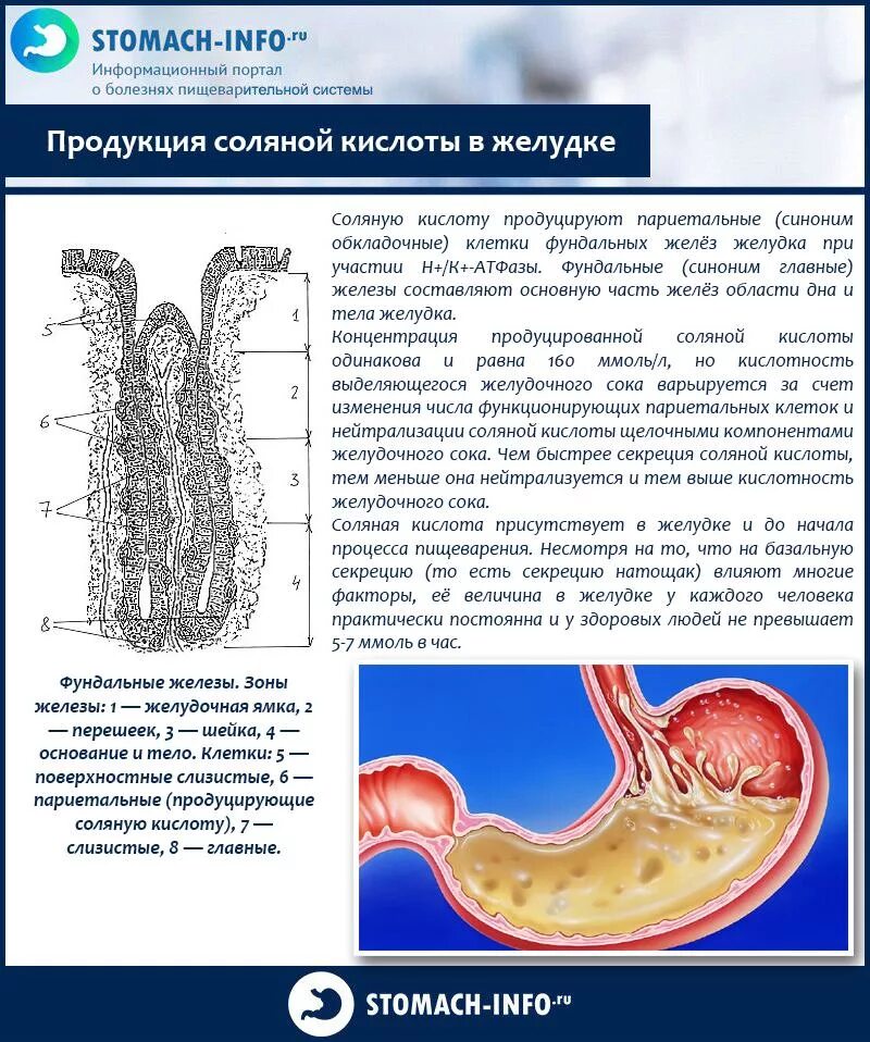 PH соляной кислоты желудочного сока. Повышение PH желудочного сока. Сниженная кислотность желудка симптомы. Повышенное кислотообразование в желудке. Кислотность соляной кислоты