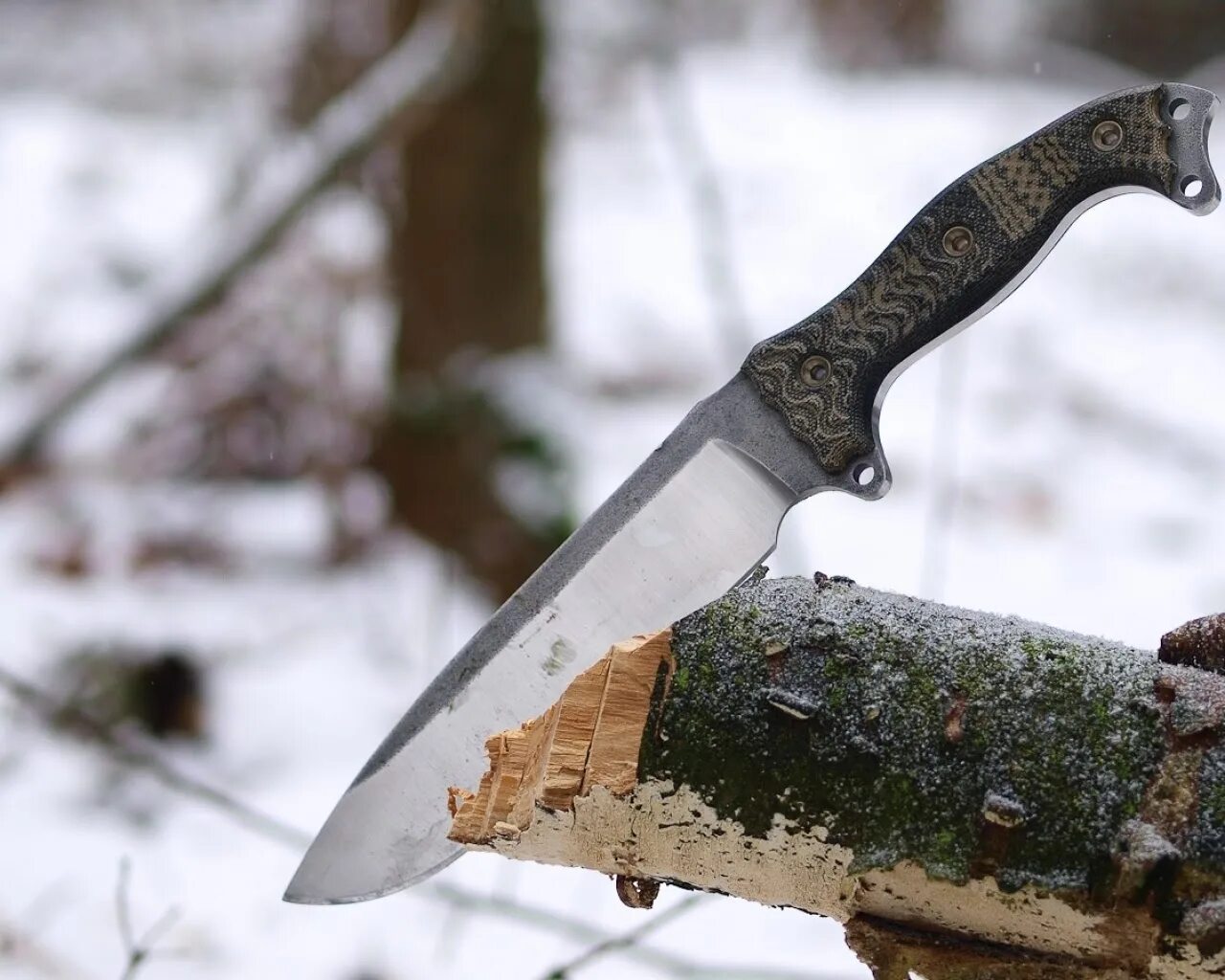 нож зимой. нож снежный барс. нож фирмы leopard stainless steel. снежный нож. златоустовские мастера.