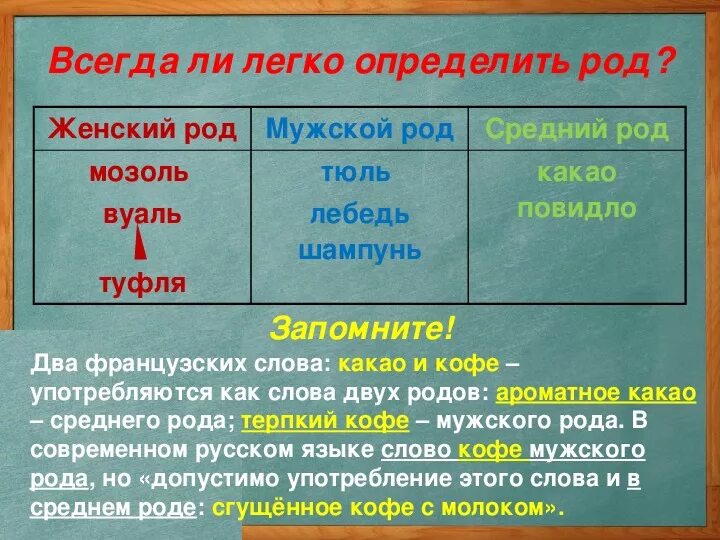 Чернила род существительного. Род существительных тюль. Слова мужского рода. Род имен существительных 5 класс. Род имен существительных тюль.