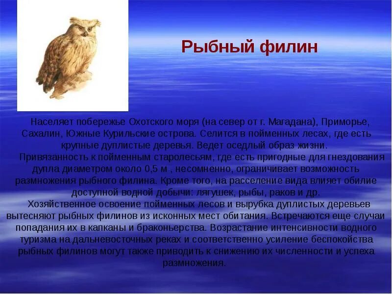Прострел тарао. Остролодочник путоранский. Сахали́нский осётр. Эндемики сахалина. Осетровые рыбы амура.