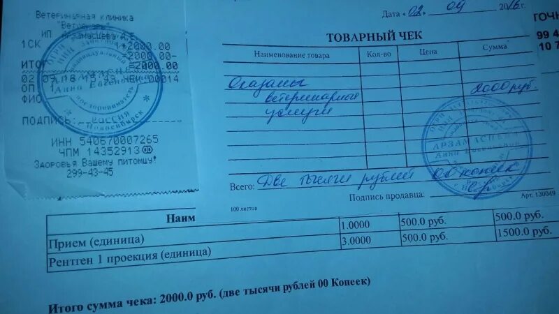 Холодное чек. Товарный чек на 2000 рублей. Чек на 2000 рублей. Товарный чек на сумму 1000 рублей. Товарный чек на 10000 рублей.