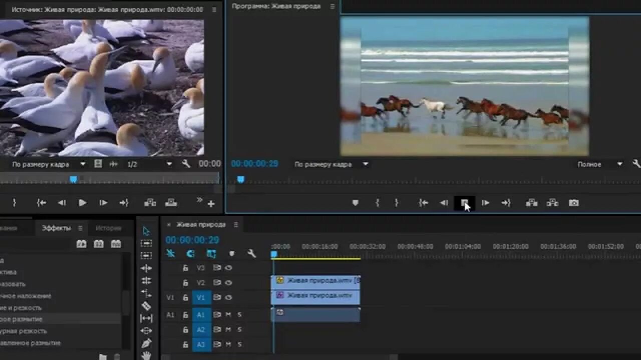 Как сделать размытие в adobe premiere. Размытие adobe premiere. размыть фон в премьере. adobe premiere размывать. размытие в adobe premiere pro.