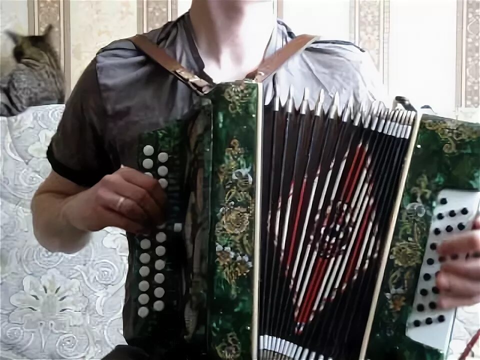 Гармонь чайка 301. Гармонь иваново. Гармонь иваново. Шуйская гармонь фабрика. Гармонь 25х25 1953г.