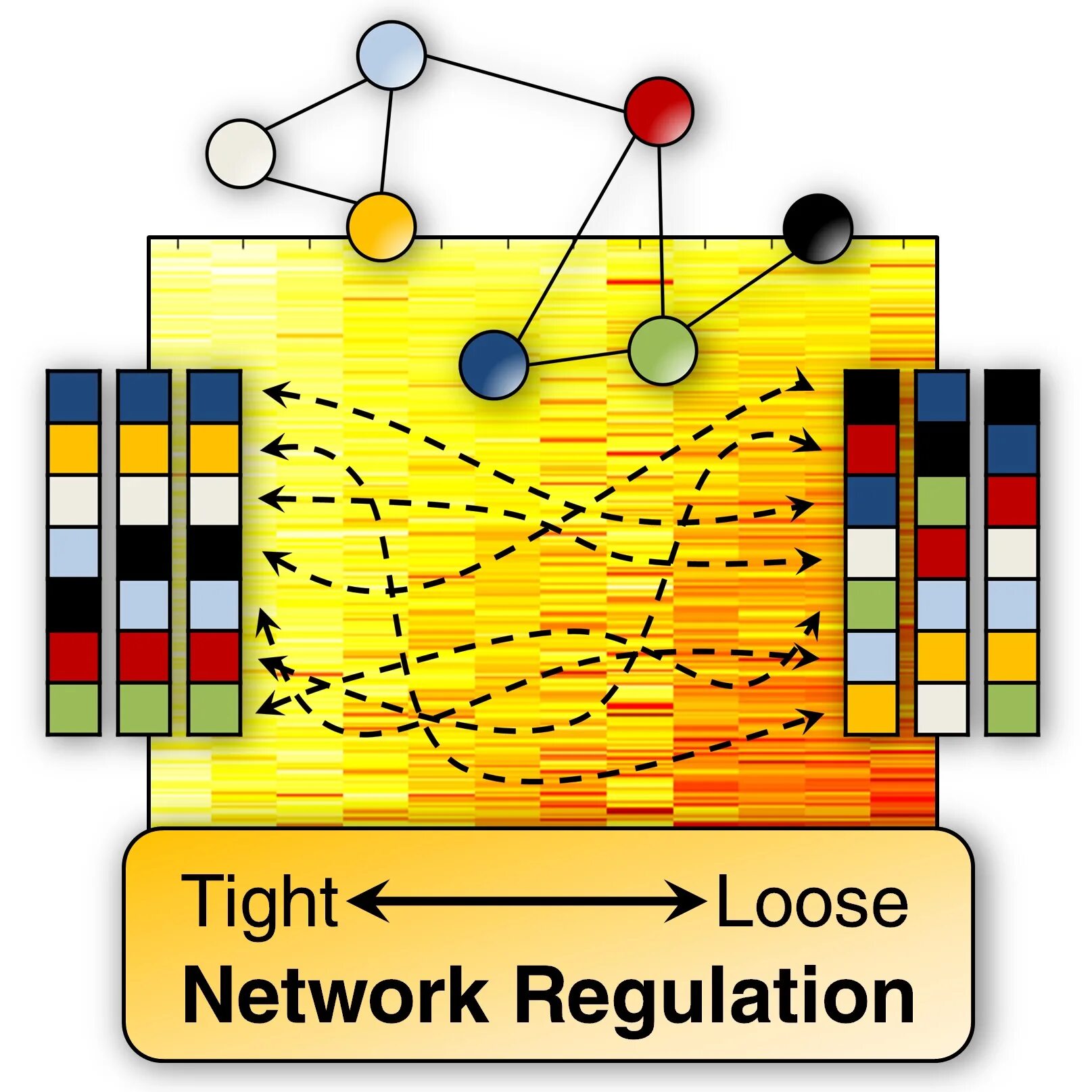 Целевая кривая maer sound. Dirac room correction. Dirac sound что это. Dirac live for arcam. Dirac live for arcam.