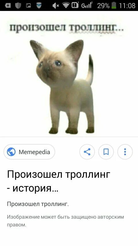 Троллинг животными. Произошел троллинг. кот троллинг. меры кот произошел троллинг оригинал.
