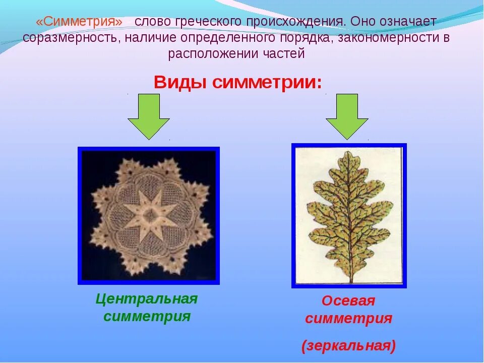 Какие типы симметрии бывают. Виды симметрии. Основные типы симметрии. Типы симметрии в природе. Виды симметрии с примерами.