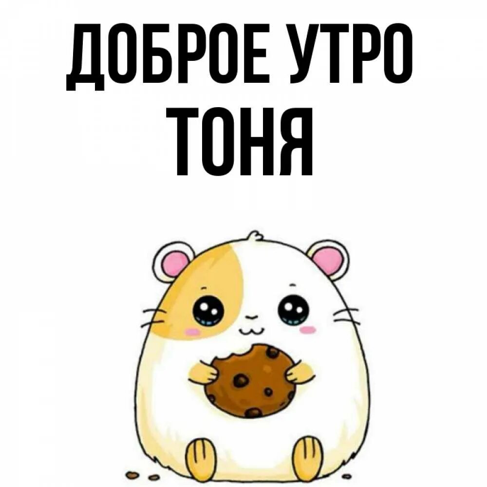 Тони добрый. Тони добрый. Доброе утро тоня. Тони добрый. Доброе утро толечка.