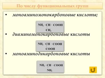 Функциональные числа