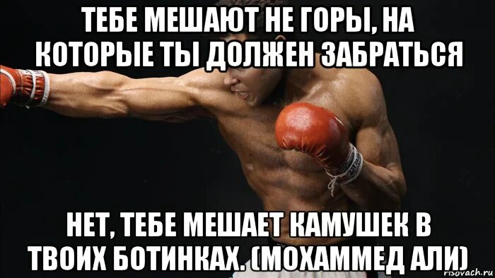 Песня вацок ты что то совсем перестал. Песня вацок ты что то совсем перестал