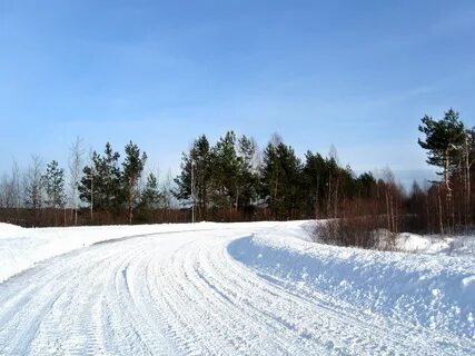 Погода в новой шомохте нижегородской