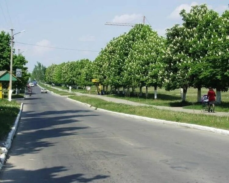 Ладыжин винницкая область. Ладыжин Винницкая область фото. Ладыжин фото города. Г.Ладыжин дворы.