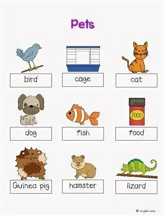 Английское слово pet. Pets in English. Pet слово. Pets for Kids. Pets activities.