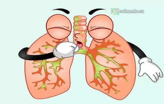 Кашель с отделяемой мокротой. Отхаркивание курильщика. Кашель курильщика с мокротой.