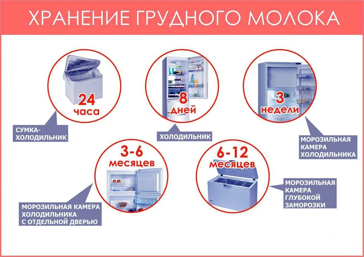 Сколько хранить молоко грудное при комнатной температуре. Сколько и как хранится грудное молоко. Нормы хранения грудного молока. Срок хранения сцеженного грудного молока. Срок годности хранения грудного молока.