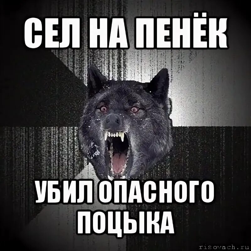 Сел за мемы. Сел за решетку. Ванга в цвете. Мем типичный ботан. Мемы про москву.