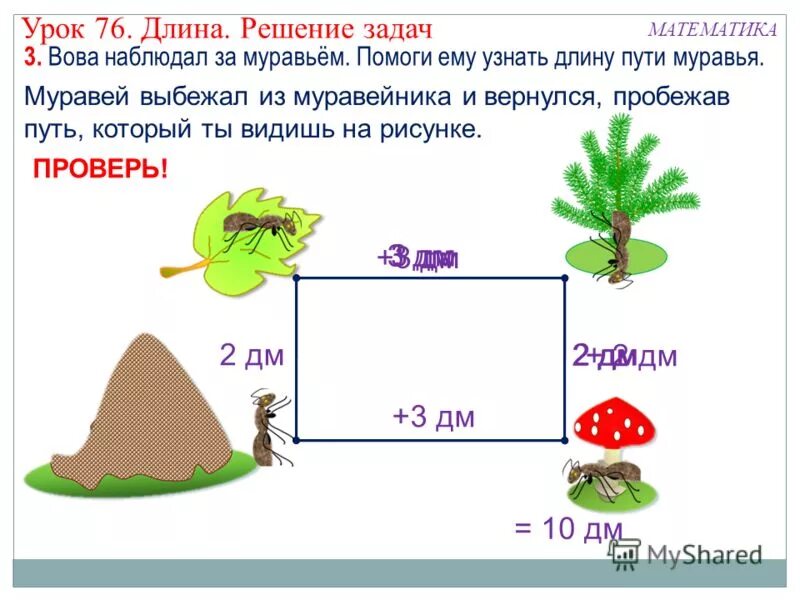 Длина урок в 1 классе. Задача про муравья. Задачки с МУРАВЬЕМ. Скорость муравья. 4 Класс задача про муравья.