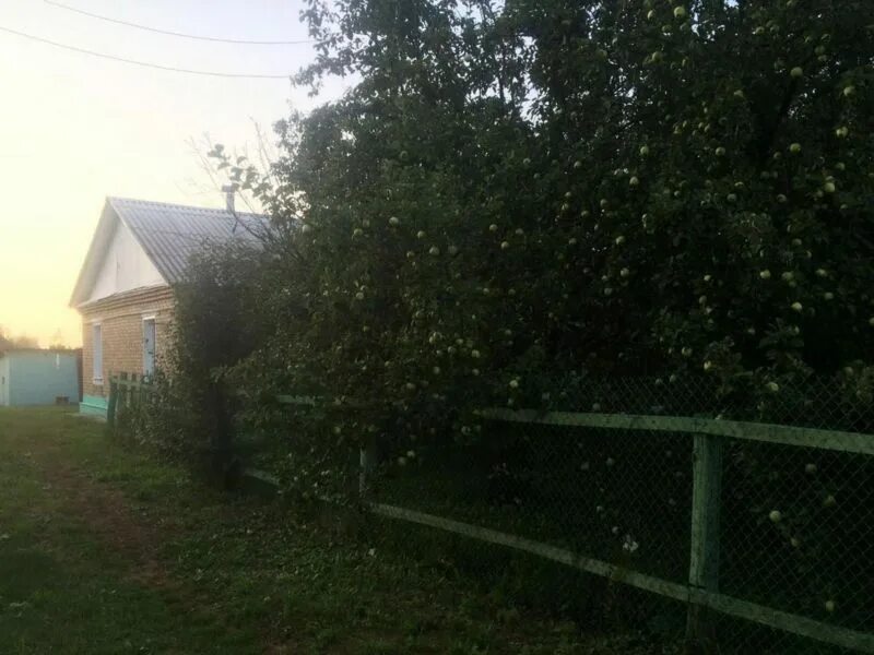 Погода в серго поливаново пензенская. Ширингуши церковь. Погода в серго поливаново пензенская. Пензенская область поливаново. Дома в вадинске.