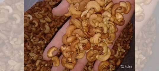 Кешью ядовитый орех. Черви в орехах кешью. Червяки в кешью. Энхитреи личинки. Червяки в кешью.