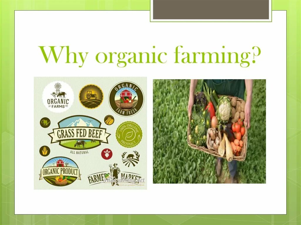 Органическая ферма. Organic farming methods. Organic farming spotlight. What is organic farming. Organic and non organic.