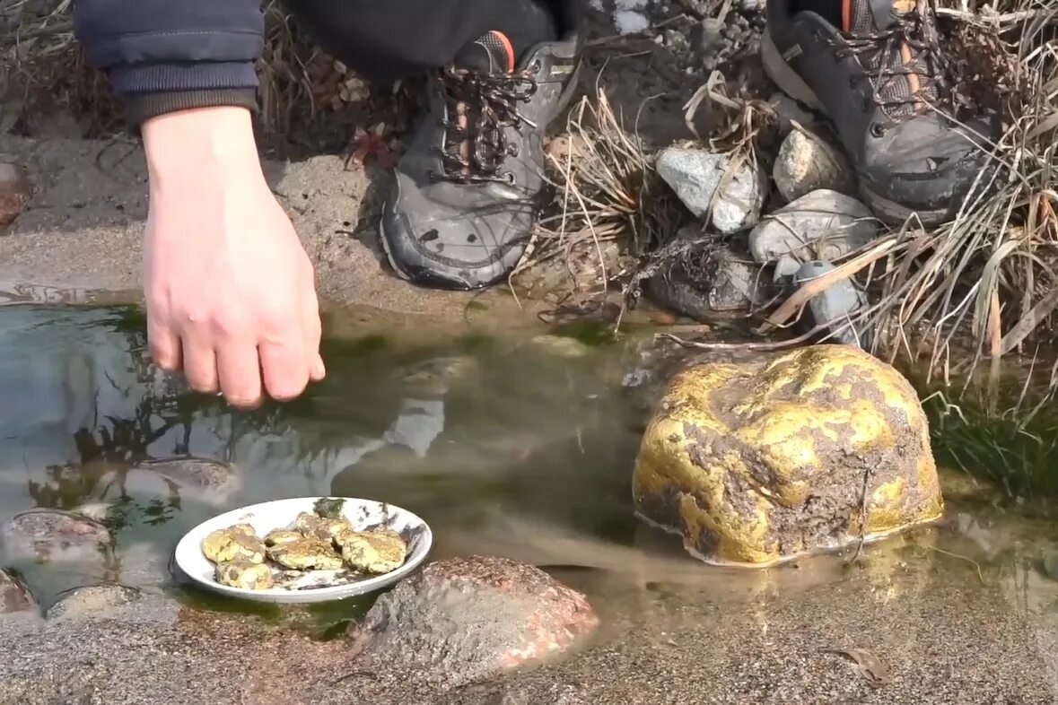 Речки с золотом. Золото в речке. Золото в речных камнях. Золото из речки.