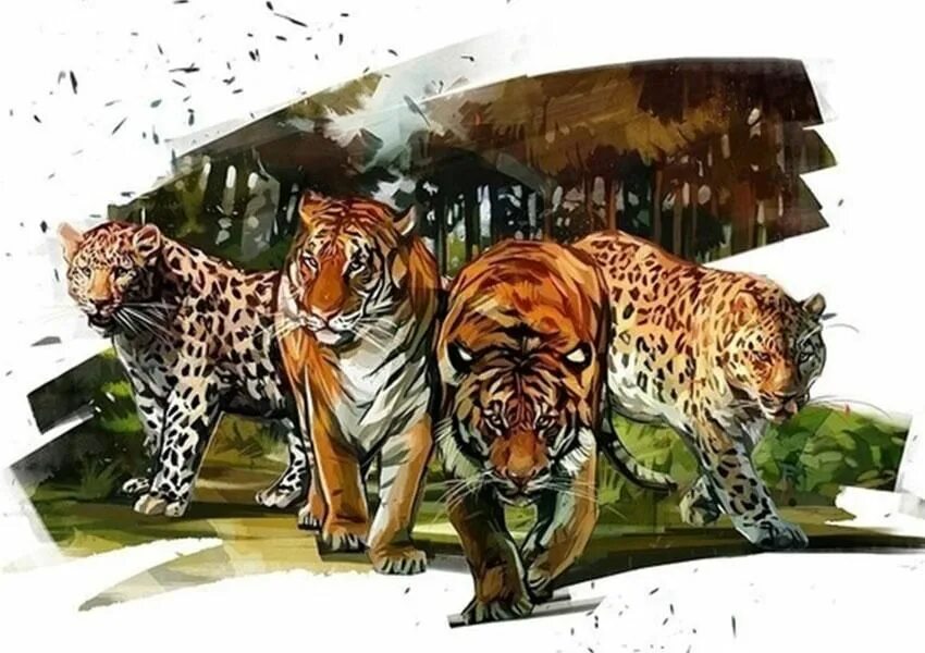 Дальневосточный леопард и тигр. Амурский тигр, амурский леопард.. амурский тигр и дальневосточный леопард. амурский тигр и дальневосточный леопард лежат вместе. тигр дальневосточный амурский.