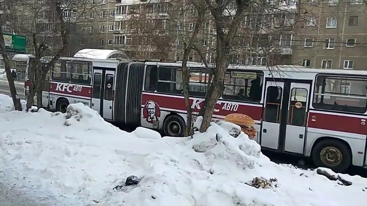 Икарус 283. Икарус 283. Автобус гармошка екатеринбург. Икарус 283. Икарус 283.