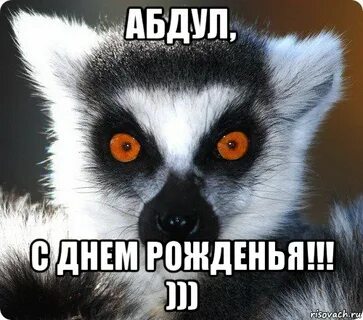 Про абдулу