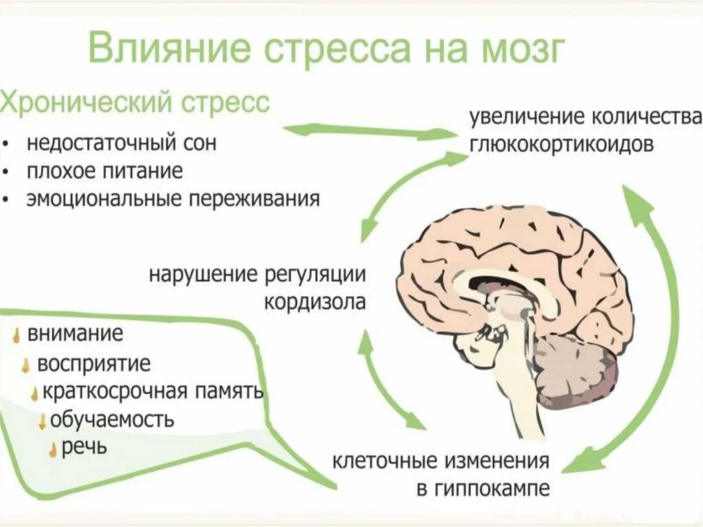 Гормон плохого настроения