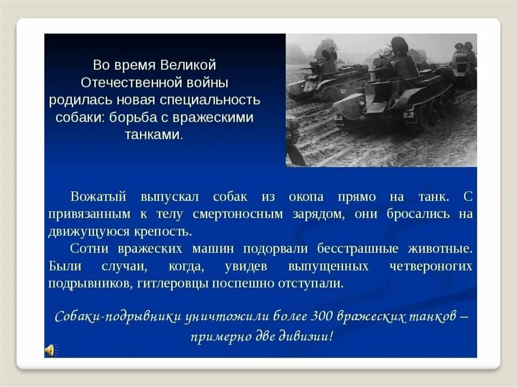 Факты о Великой Отечественной войне. Собаки во время Великой Отечественной войны. Интересная информация про ВОВ. Интересное о ВОВ.