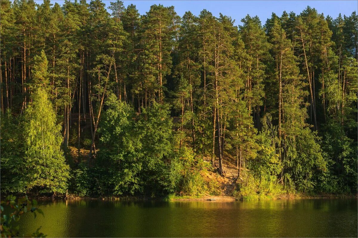 Республика марий эл природа. Природные богатства республики марий эл. Республика марий эл природа. Йошкар-ола природа. Природные богатства республики марий эл.