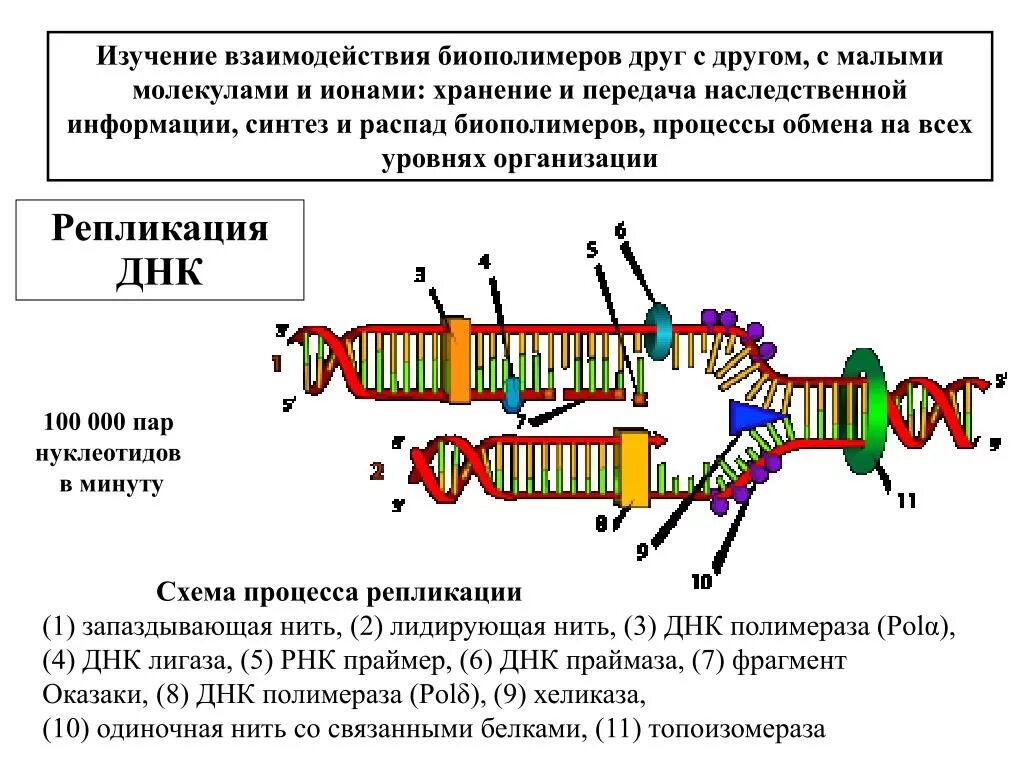 Репликация уровень