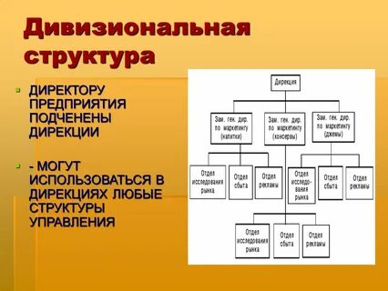 Дивизиональная организационная структура компании