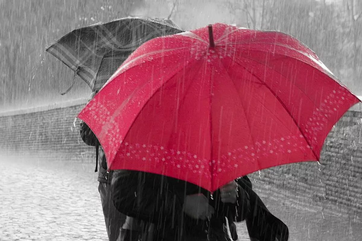Зонт под дождем. Ливень под зонтом. Дождь зонт. Дождливый день.