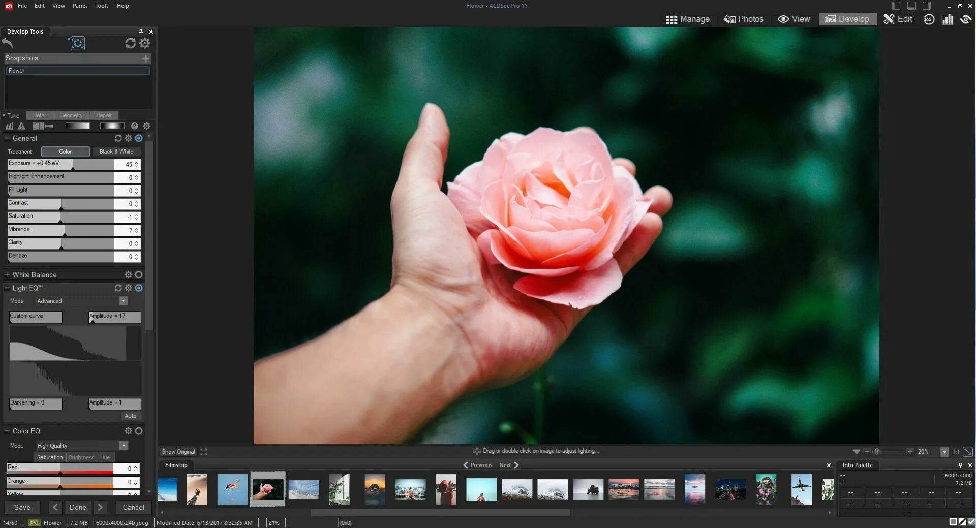 Acdsee home. Acdsee photo studio. acdsee photo studio ultimate 2025. acdsee photo studio home. acdsee photo studio ultimate 2025.