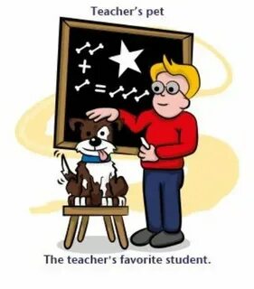 My pet teacher