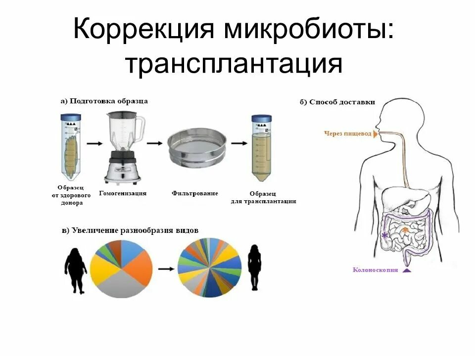 Пересадка микробиоты. Трансплантация микробиоты. фекальная трансплантация. трансплантация кишечной микробиоты. трансплантация фекальной микрофлоры.